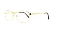 Shiny Satin Gold Glasses Direct Trevor Rectangle Glasses - Angle