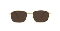 Shiny Satin Gold Glasses Direct Trevor Rectangle Glasses - Sun