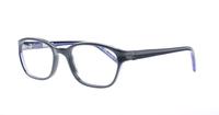 Grey/Blue Karl Lagerfeld KL708 Oval Glasses - Angle