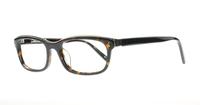 Havana Karl Lagerfeld KL743 Oval Glasses - Angle