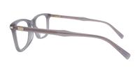 Grey Levis LV5041 Rectangle Glasses - Side