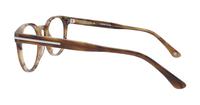 Shiny Brown Horn London Retro Dalston Round Glasses - Side