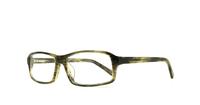 Green Peter Werth 28PW007 Rectangle Glasses - Angle