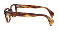 Striped Havana Ray-Ban RB0880 Square Glasses - Side