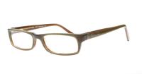 Brown Horn Stvdio by Jeff Banks Stvdio ST017 Rectangle Glasses - Angle