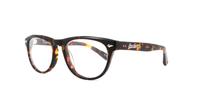 Tortoise Shell Superdry Holly 102 Round Glasses - Angle