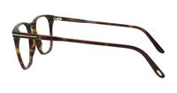 Dark Havana Tom Ford FT5937-B Round Glasses - Side