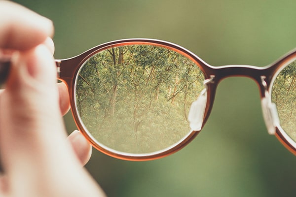 A pair of glasses with trees reflected in the lenses