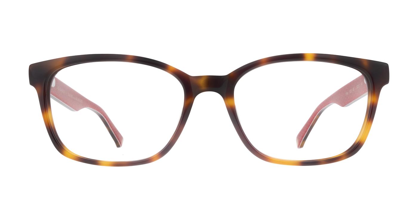 Ted Baker  Wiley  - Tortoise - Distance, Basic Lenses, No Tints