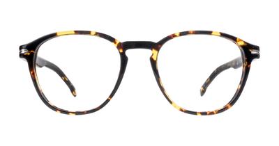 Hugo Boss BOSS 1509/G Glasses