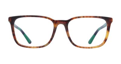 Polo Ralph Lauren PH2234 Glasses