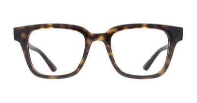 Ray-Ban RB4323V Glasses