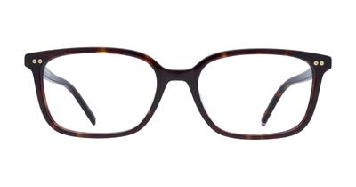 Tommy Hilfiger TH1870/F Glasses