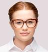 Brown Ted Baker Zowie Square Glasses - Modelled by a female