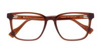 Havana/Crystal Ben Sherman Finsbury Square Glasses - Flat-lay