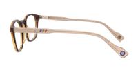 Brown Horn Ben Sherman Lawrence Square Glasses - Side