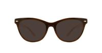 Brown Bench 231 Oval Glasses - Sun