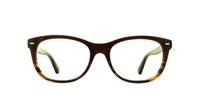 Brown Horn Bobbi Brown The Gabby Oval Glasses - Front