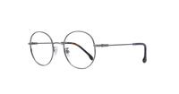 Ruthenium Carrera 194/G Round Glasses - Angle