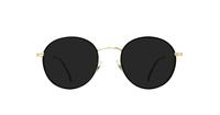 Gold/Black Carrera CA157/V Round Glasses - Sun