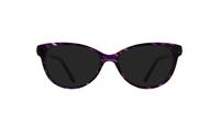 Purple Carvela Carly Cat-eye Glasses - Sun
