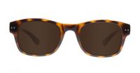 Tortoise Converse Q036 Oval Glasses - Sun