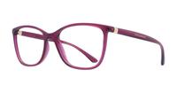 Transparent Dark Cherry Dolce & Gabbana DG5026 Square Glasses - Angle