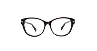 Havana G-Star Raw TRASON Cat-eye Glasses - Front