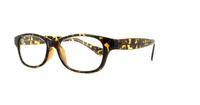 Tortoise Glasses Direct Ashley Oval Glasses - Angle