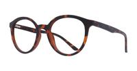 Matte Havana Glasses Direct Bevis Round Glasses - Angle