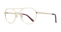 Shiny Gold Glasses Direct Daly Round Glasses - Angle
