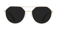 Shiny Gold Glasses Direct Daly Round Glasses - Sun