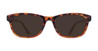 Tortoise Glasses Direct Damica Oval Glasses - Sun