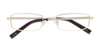 Matte Gold Glasses Direct Gordan Rectangle Glasses - Flat-lay