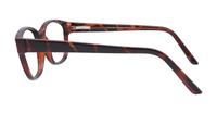 Havana Glasses Direct Solo 567 Oval Glasses - Side