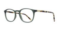 Green/Havana Glasses Direct Whitley Round Glasses - Angle