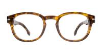 Brown Havana Hugo Boss BOSS 1504 Round Glasses - Front