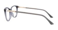 Grey Jimmy Choo JC287 Cat-eye Glasses - Side