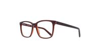 Brown Karl Lagerfeld KL885 Rectangle Glasses - Angle