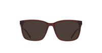 Brown Karl Lagerfeld KL885 Rectangle Glasses - Sun