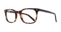 Havana Karl Lagerfeld KL990 Rectangle Glasses - Angle