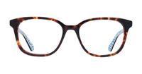 Havana Kate Spade Bari Cat-eye Glasses - Front