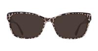 Black Leopard Kate Spade Crishell Square Glasses - Sun