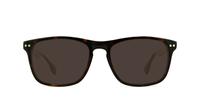 Brown/Green Lennox Hannu Rectangle Glasses - Sun