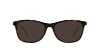 Brown Lennox Nea Oval Glasses - Sun