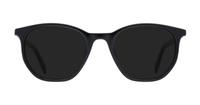 Black Levis LV1002 Square Glasses - Sun