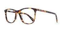 Havana Levis LV1003 Square Glasses - Angle