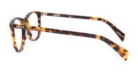 Havana Levis LV1003 Square Glasses - Side