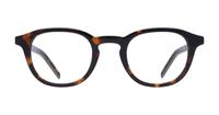 Havana Levis LV1029 Oval Glasses - Front