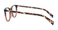 Havana Brown Levis LV1034 Cat-eye Glasses - Side